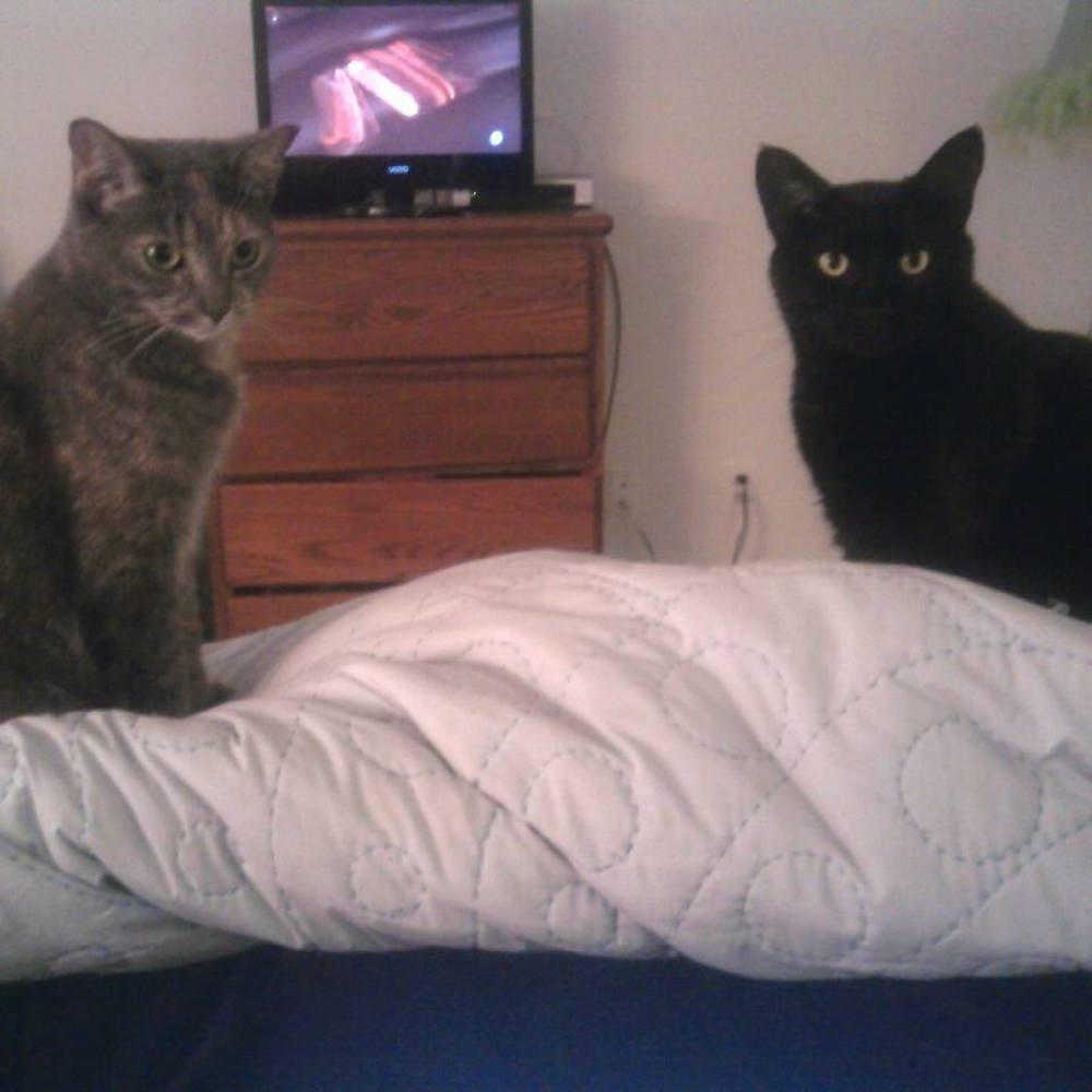 Meet your Posher, Riley